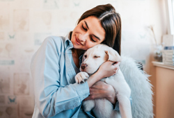 Consulta veterinária no Hospital Veterinário Na Praia em Peruíbe